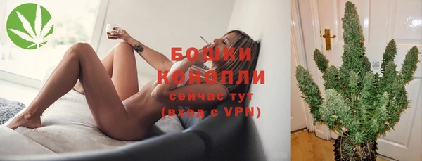 ешки Козельск