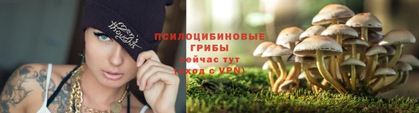 мяу мяу мука Кодинск
