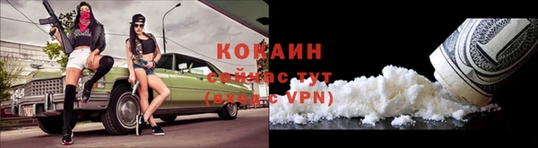 мяу мяу мука Кодинск