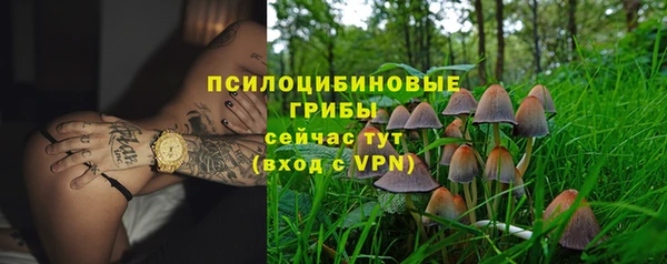 мяу мяу мука Кодинск