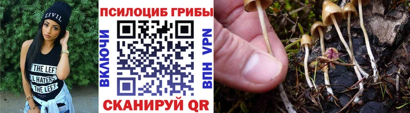 ОМГ ОМГ как войти  Луга  Псилоцибиновые грибы мицелий 